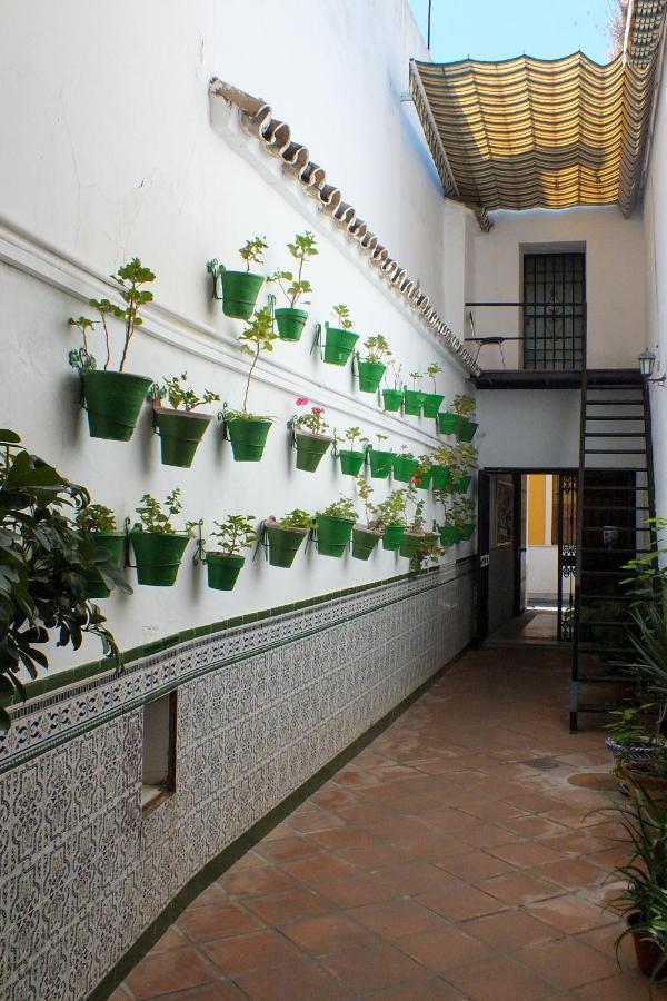 El Patio De Santiago Hotell Córdoba Exteriör bild