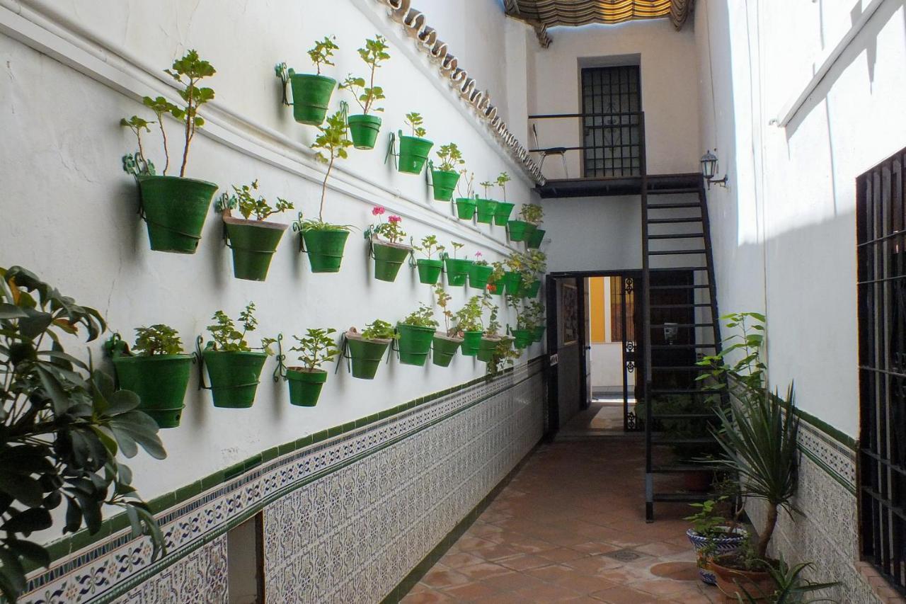 El Patio De Santiago Hotell Córdoba Exteriör bild